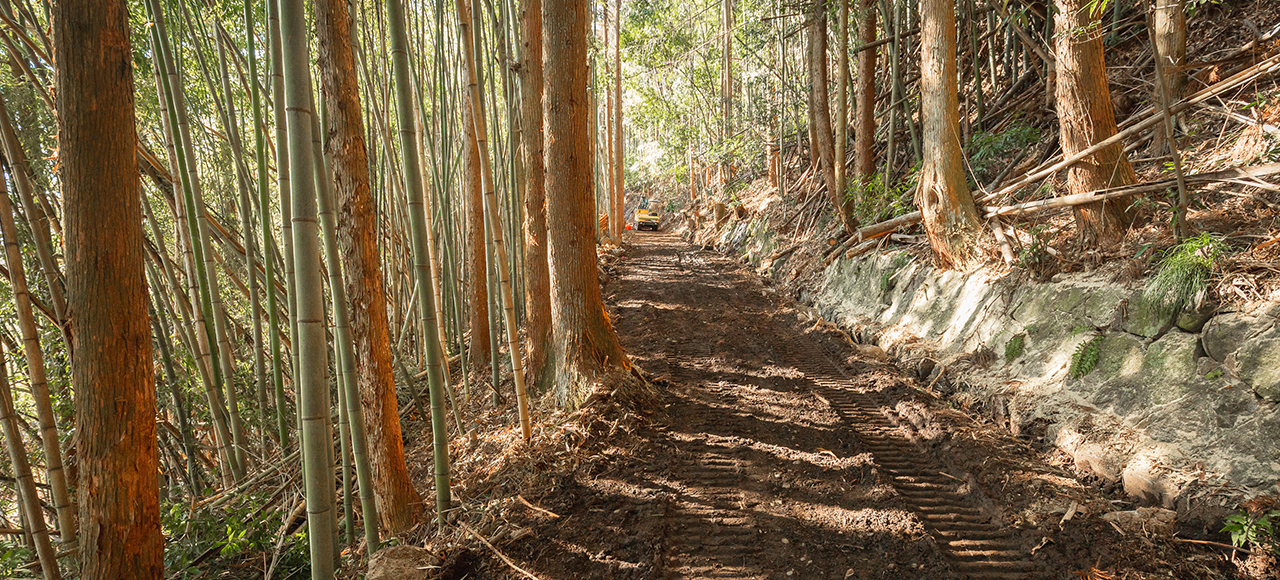 環境部門