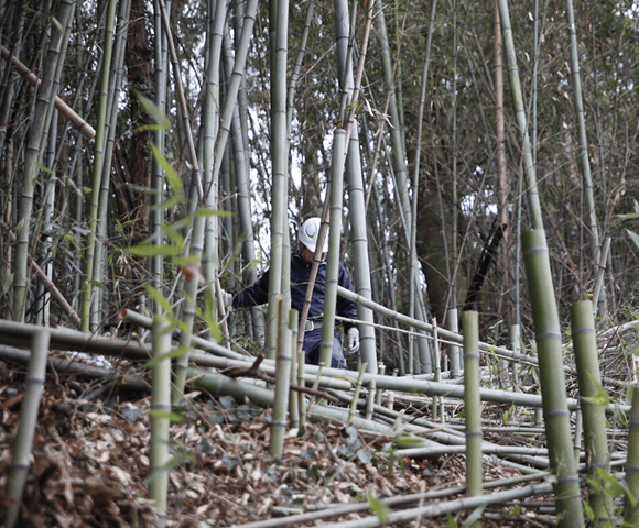 お困りの放置竹林を伐採し、地域環境の改善につなげます。