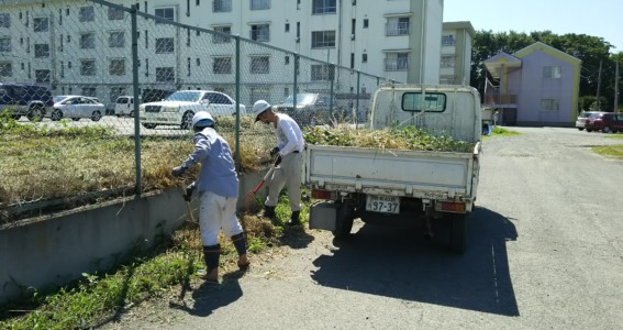 団地の除草作業